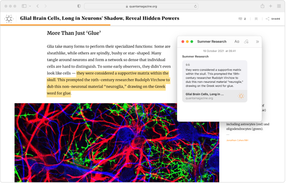 Text is highlighted in an article, and a Quick Note with the highlighted text and a link to the article appears next to the article.