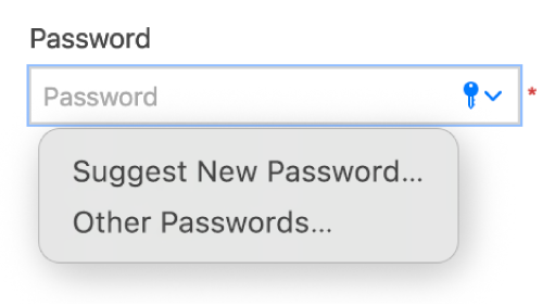 A password field with options to receive a password suggestion and to see passwords for other website accounts.