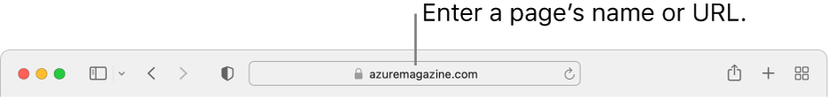 The Safari Smart Search field, where you can enter a page’s name or URL.