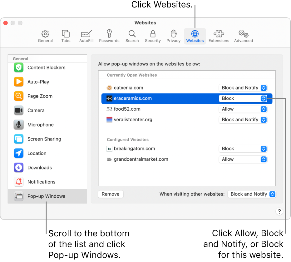 A window showing Safari preferences for websites, with Pop-up Windows selected at the bottom of the sidebar, and a currently open website selected.