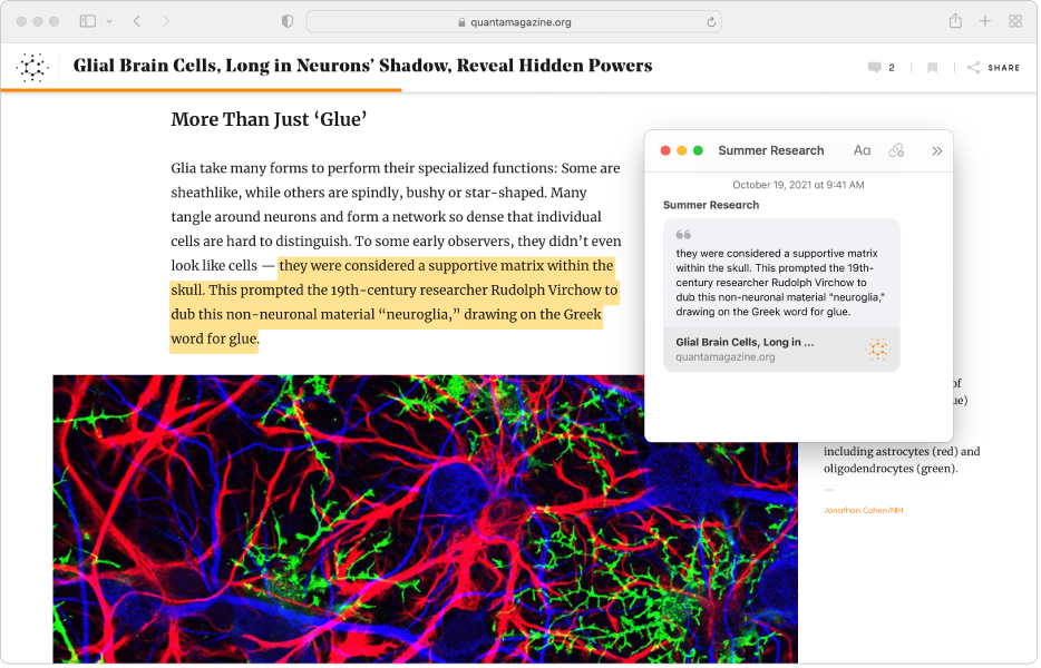 Text is highlighted in an article, and a Quick Note with the highlighted text and a link to the article appears next to the article.