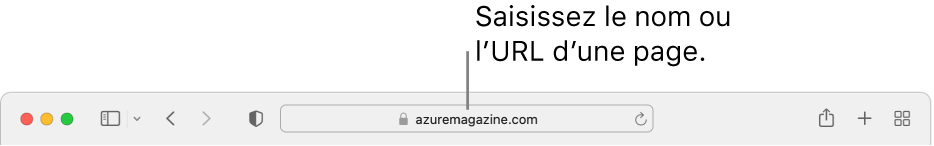 Le champ de recherche intelligente de Safari, dans lequel vous pouvez saisir le nom ou l’URL d’une page.