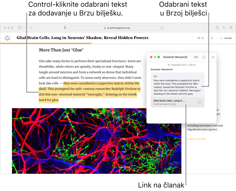 Tekst je istaknut u članku, a Brza bilješka s istaknutim tekstom i link na članak prikazuju se pokraj članka.