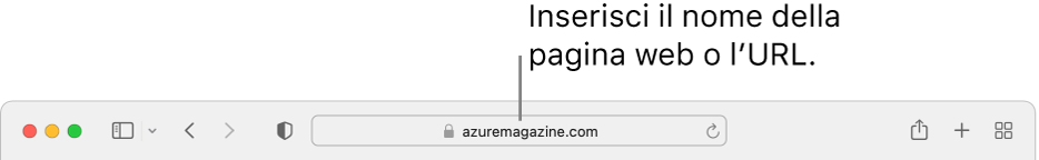 Il campo di ricerca smart di Safari, in cui puoi inserire il nome o l'URL di una pagina.
