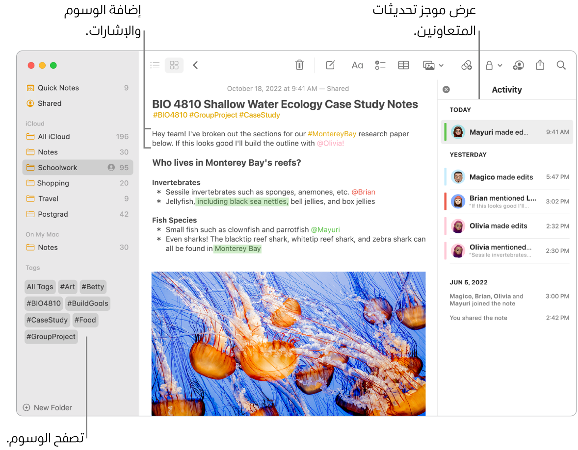 نافذة في تطبيق الملاحظات في عرض المعرض تظهر بها وسيلة شرح للوسوم في الشريط الجانبي. في الملاحظة الرئيسية، توجد وسيلة شرح لوسم وإشارة. على اليسار، توجد قائمة أنشطة بها وسيلة شرح لعرض ملخص التحديثات.