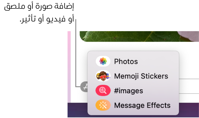 قائمة التطبيقات بها خيارات لعرض الصور وملصقات Memoji وصور GIF وتأثيرات الرسائل.