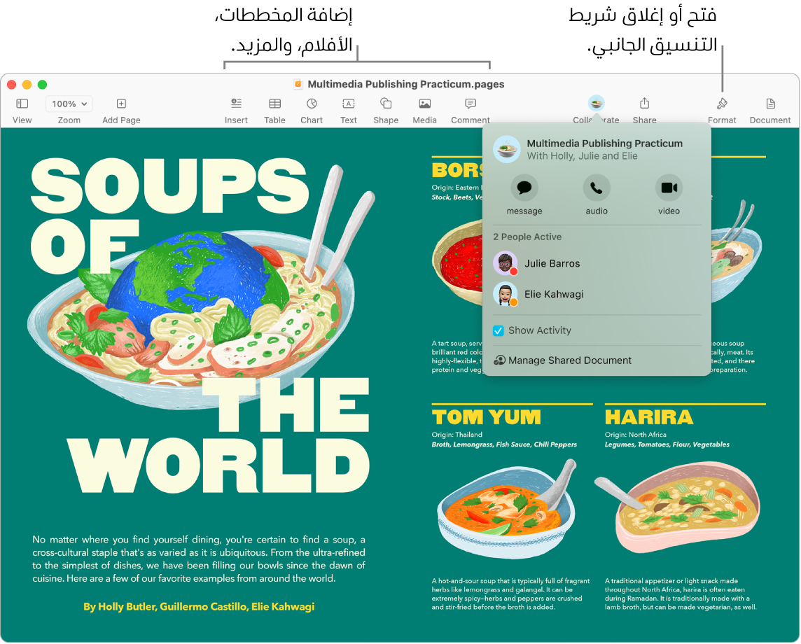 نافذة Pages تعرض تدفق النشاط أسفل زر تعاون في شريط الأدوات، وبها شخصين نشطين. توجد وسائل شرح لإضافة المخططات والأفلام والمزيد في شريط الأدوات، ووسيلة شرح لفتح أو إغلاق شريط التنسيق الجانبي.