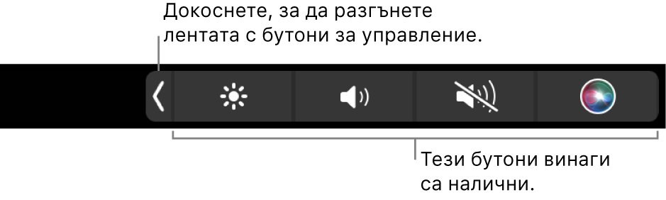 Частичен екран на лентата Touch Bar по подразбиране, който показва в умален размер Control Strip (Контролна лента) с бутоните, които винаги са налични: яркост, сила на звука и изключване на звука. Докоснете бутона за разширяване, за да видите цялата Control Strip (Контролна лента).