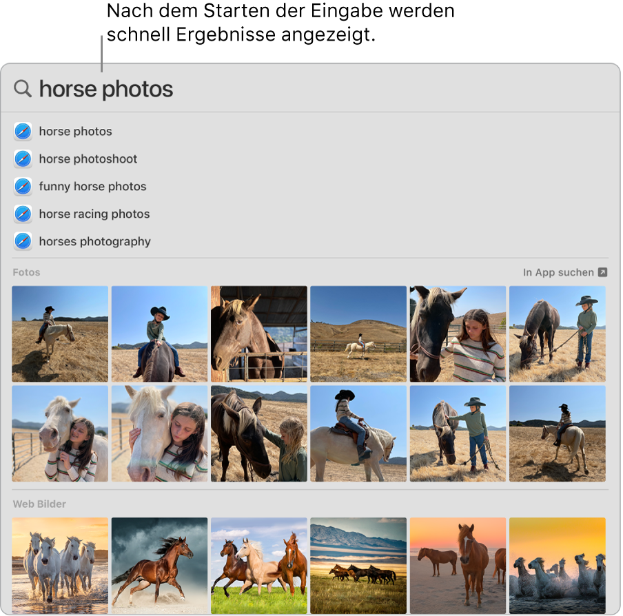 Das Spotlight-Fenster mit Suchergebnissen für „Pferdebilder“.