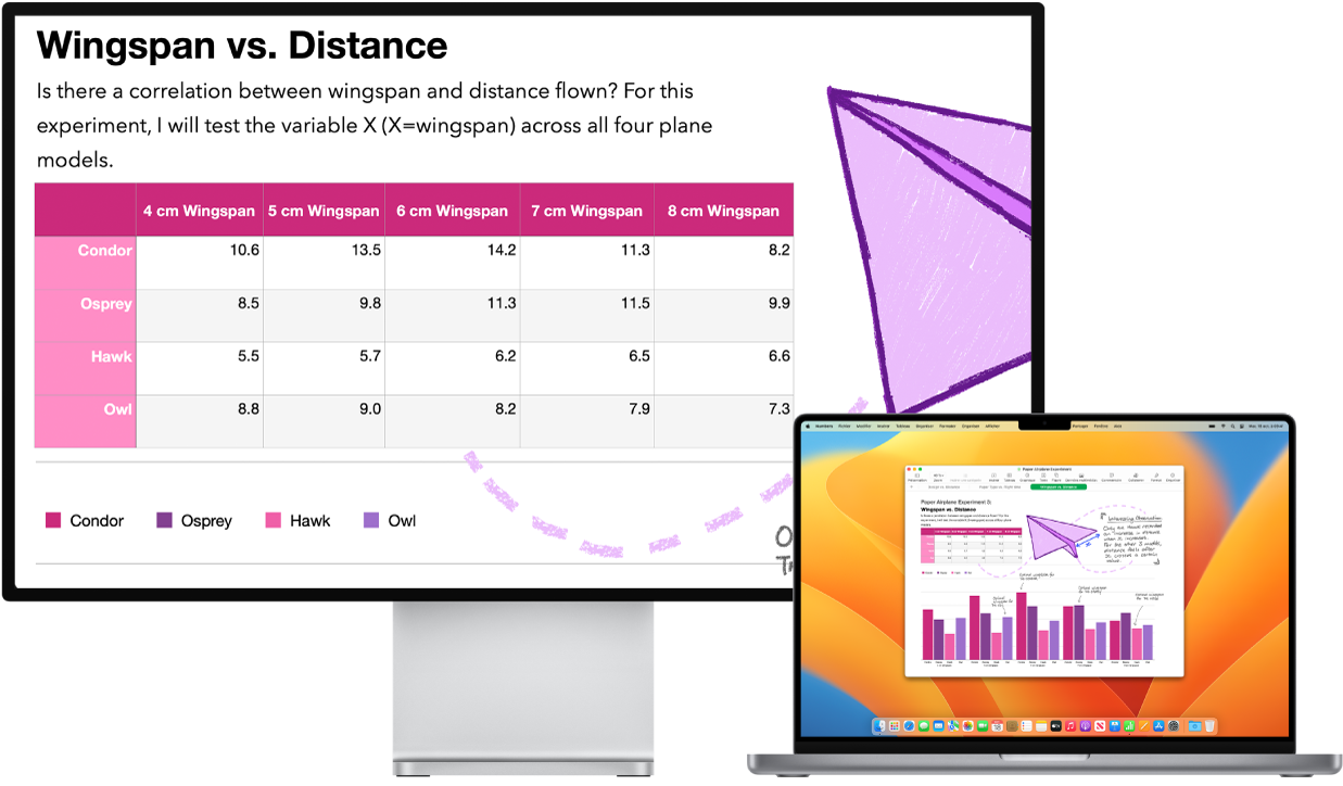 L’écran Zoom est actif sur l’écran du bureau tandis que la taille de l’écran reste fixe sur MacBook Pro.