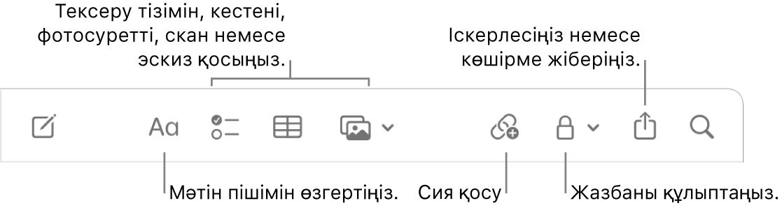 Мәтін пішіміне, тексеру тізіміне, кестеге, сілтемеге, фотосуреттерге/мультимедиаға, құлыпқа, бөлісу және көшірме жіберу құралдарына тілше деректері бар Notes құралдар тақтасы.