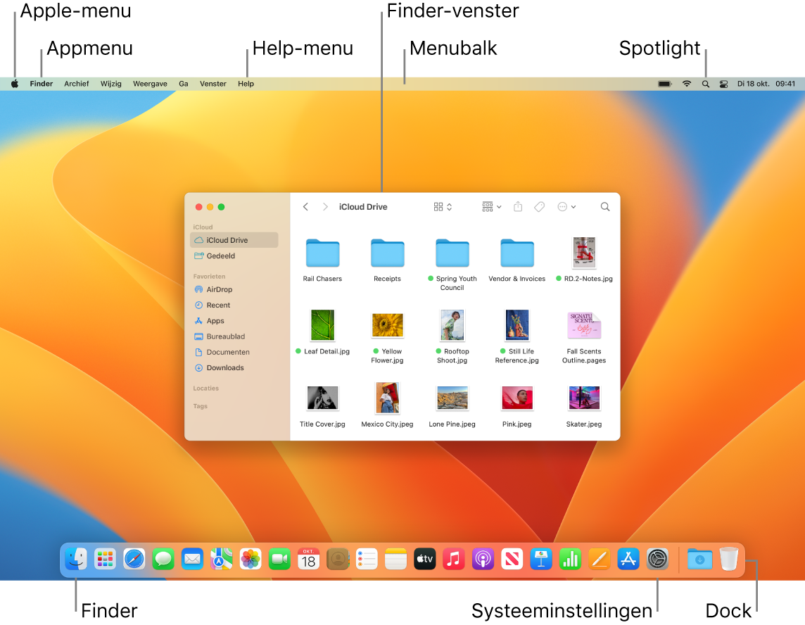 Een Mac-scherm met het Apple-menu, het appmenu, het Help-menu, een Finder-venster, de menubalk, het Spotlight-symbool, het Finder-symbool, het Systeeminstellingen-symbool en het Dock.