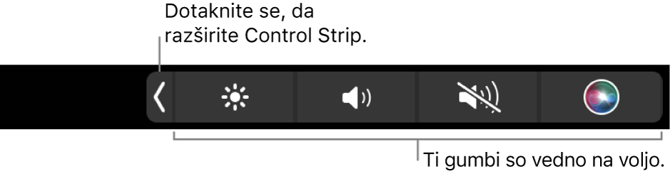 Delni zaslon privzete vrstice Touch Bar, ki prikazuje strnjeno Control Strip z gumbi, ki so vedno na voljo: svetlost, glasnost in izklop zvoka. Tapnite gumb za razširitev, da prikažete celotno vrstico Control Strip.