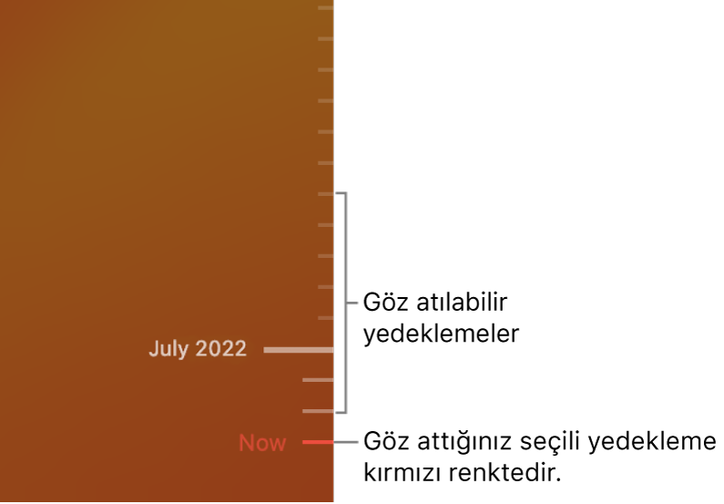 Time Machine yedekleme zaman ekseni.