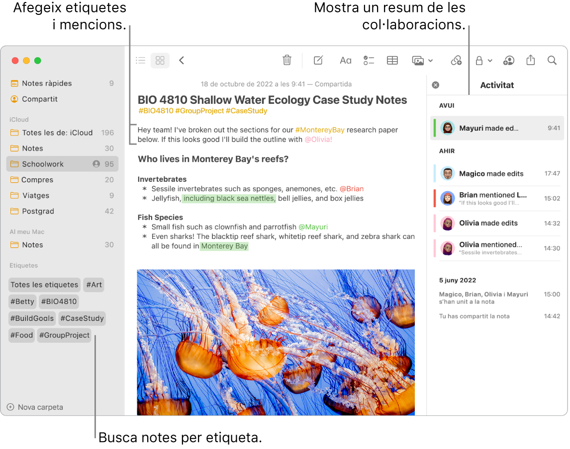 Una finestra de l’app Notes en visualització en galeria amb una llegenda de les etiquetes de la barra lateral. A la nota principal hi ha la llegenda d’una etiqueta i una menció. A la dreta hi ha una llista d’activitat amb una llegenda que mostra un resum de les actualitzacions.