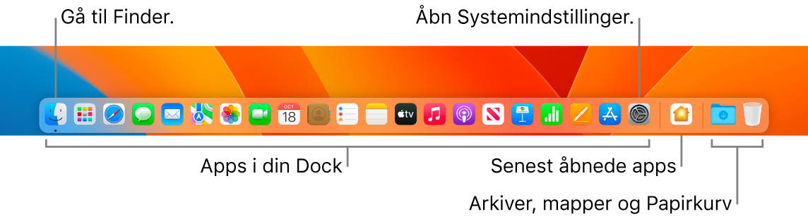 Et billede af Dock med Finder, Systemindstillinger og skillelinjen i Dock, der adskiller apps fra arkiver og mapper.