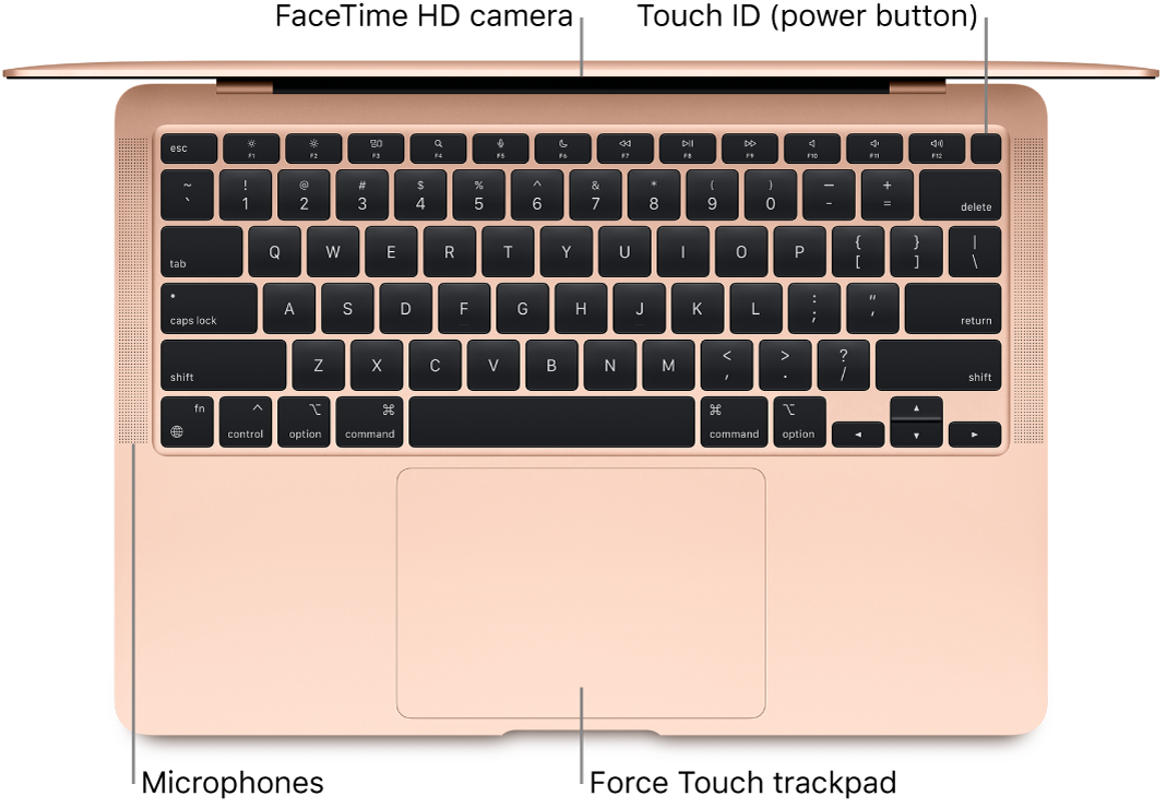 Take a tour: MacBook Air with M1 chip - Apple Support