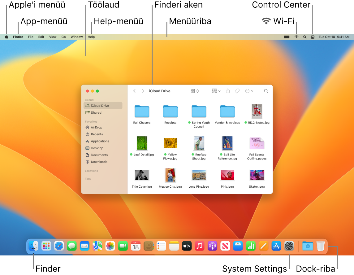 Maci ekraanil kuvatakse Apple'i menüüd, App-menüüd, töölauda, Help-menüüd, Finderi akent, menüüriba, Wi-Fi-ikooni, Control Centeri ikooni, Finderi ikooni, System Settingsi ikooni ja Dock-riba.