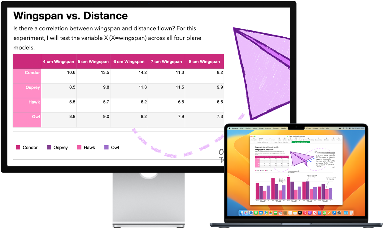 L’écran Zoom est actif sur l’écran du bureau tandis que la taille de l’écran reste fixe sur le MacBook Air.