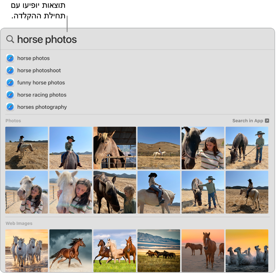 החלון של Spotlight שמציג תוצאות חיפוש ״תמונות של סוסים״.