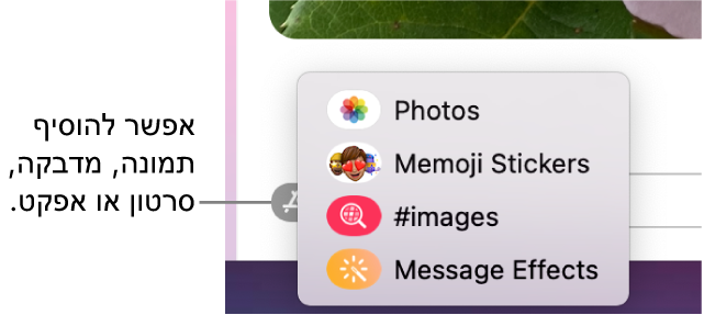 תפריט “יישומים” עם אפשרויות להצגת תמונות, מדבקות Memoji, תמונות GIF ואפקטי הודעות.