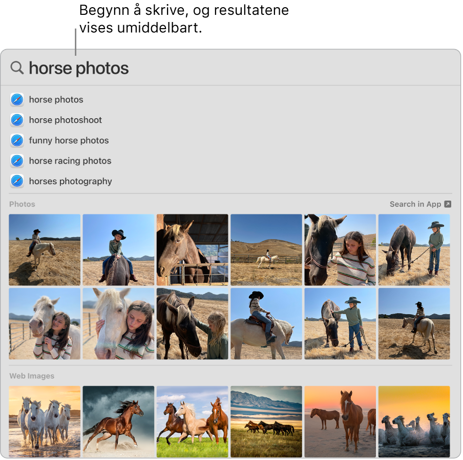 Spotlight-vinduet, som viser søkeresultater for «hestebilder».