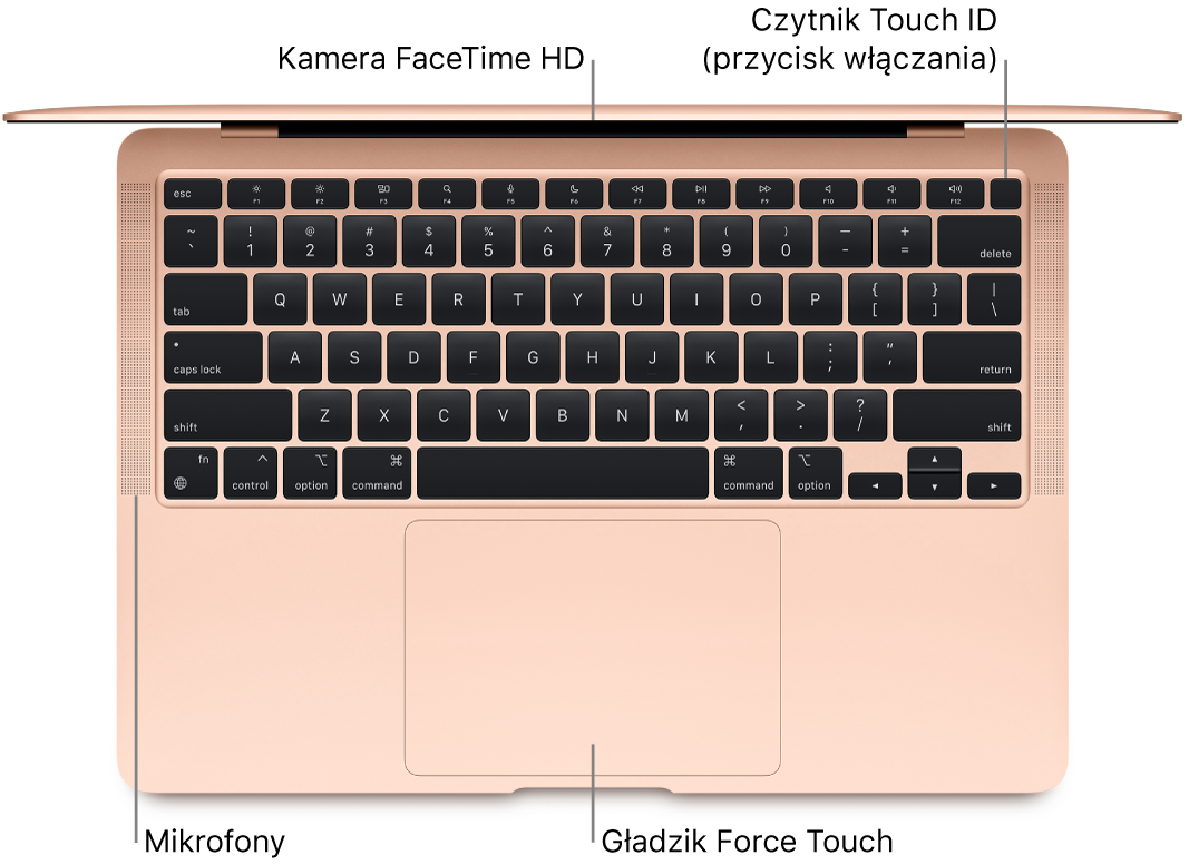 Widok z góry na otwartego MacBooka Air. Dymki pomocy wskazują kamerę FaceTime HD, Touch ID (przycisk włączania), mikrofony oraz gładzik Force Touch.