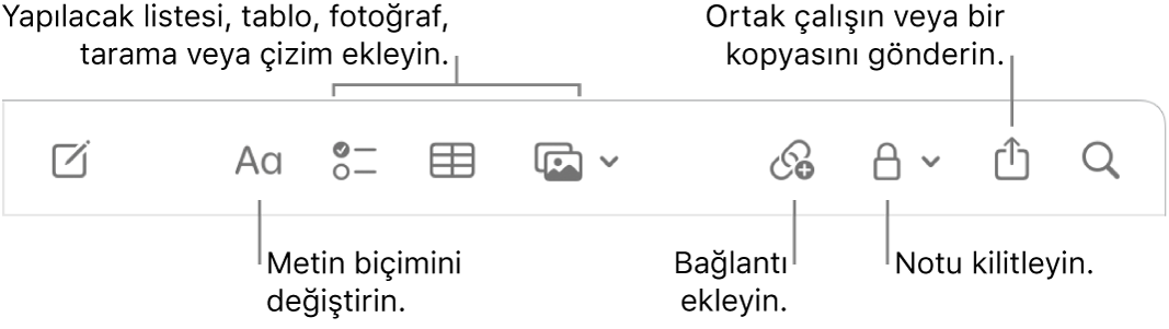 Metin biçimi belirtme çizgileri, yapılacaklar listesi, tablo, bağlantı, fotoğraflar/ortam, kilitleme, paylaşma ve kopya gönderme araçları ile Notlar araç çubuğu.