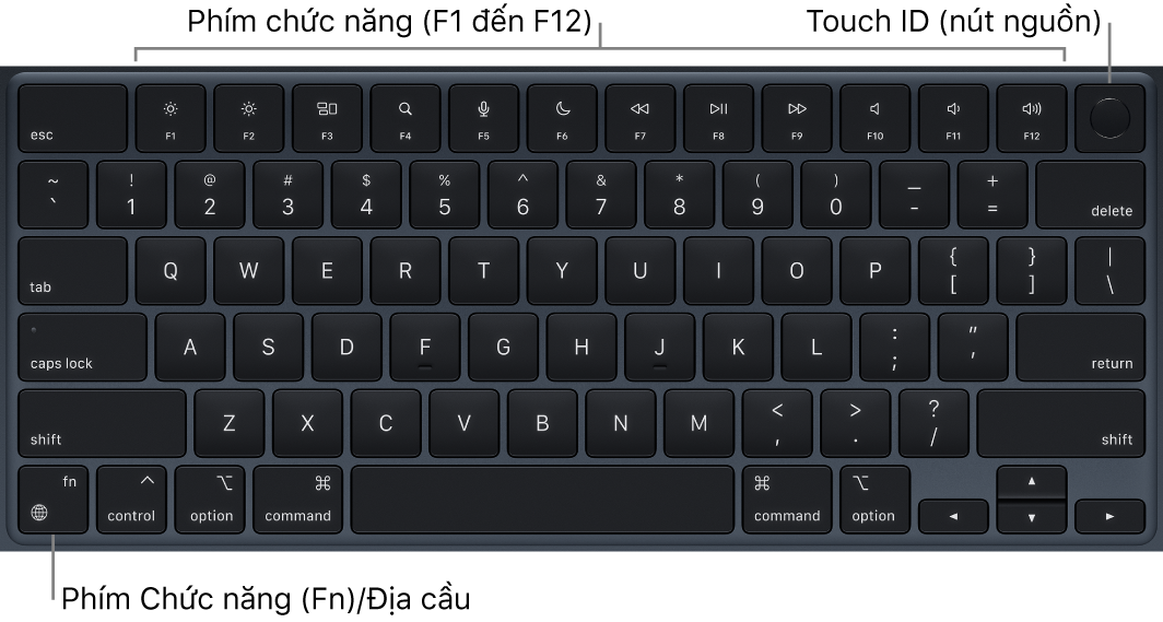 Bàn phím MacBook Air đang hiển thị hàng các phím chức năng và Touch ID (nút nguồn) ở trên cùng, cùng với phím Chức năng (Fn)/Địa cầu ở góc phía dưới bên trái.