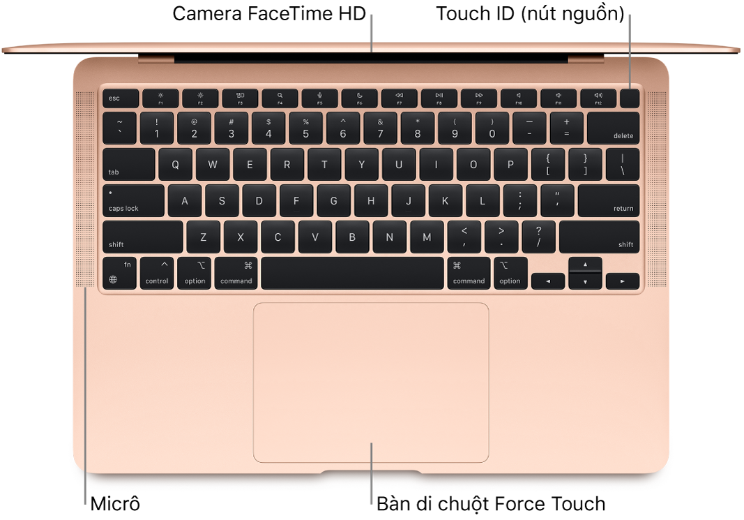 Một MacBook Air inch đang mở, nhìn từ phía trên, với các chú thích đến camera FaceTime HD, Touch ID (nút nguồn), các micrô và bàn di chuột Force Touch.