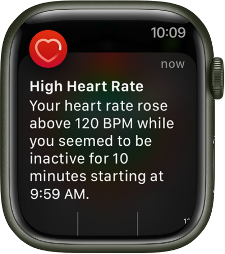 شاشة "معدل نبض القلب مرتفع" تظهر إشعارًا بارتفاع معدل نبض القلب إلى ١٢٠ نبضة/دقيقة بينما كنت غير نشط لمدة ١٠ دقائق.