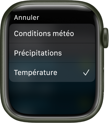 L’app Météo affiche trois choix dans une liste : « Conditions météo », Précipitations et Température.