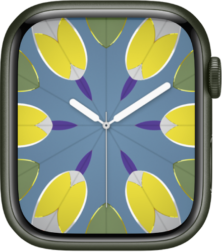 Apple Watch 表盘与功能 - 官方 Apple 支持 (中国)
