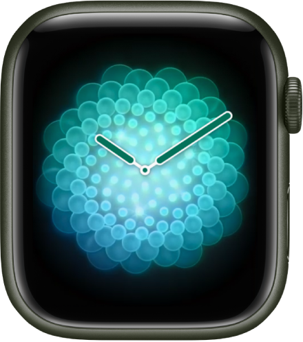 Apple Watch 表盘与功能 - 官方 Apple 支持 (中国)