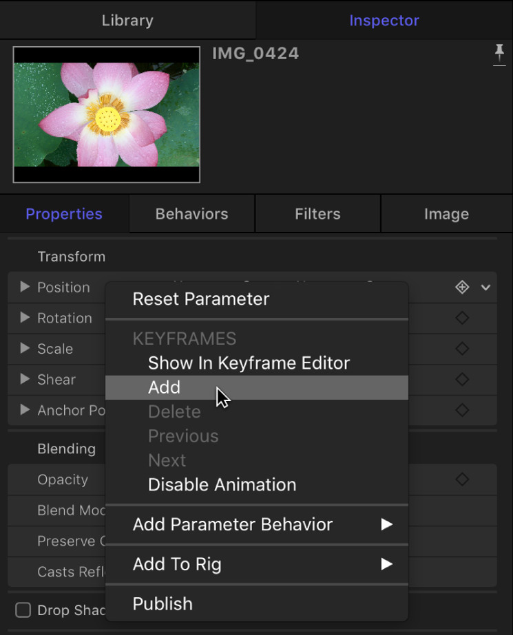 Inspector showing Animation menu for an image parameter