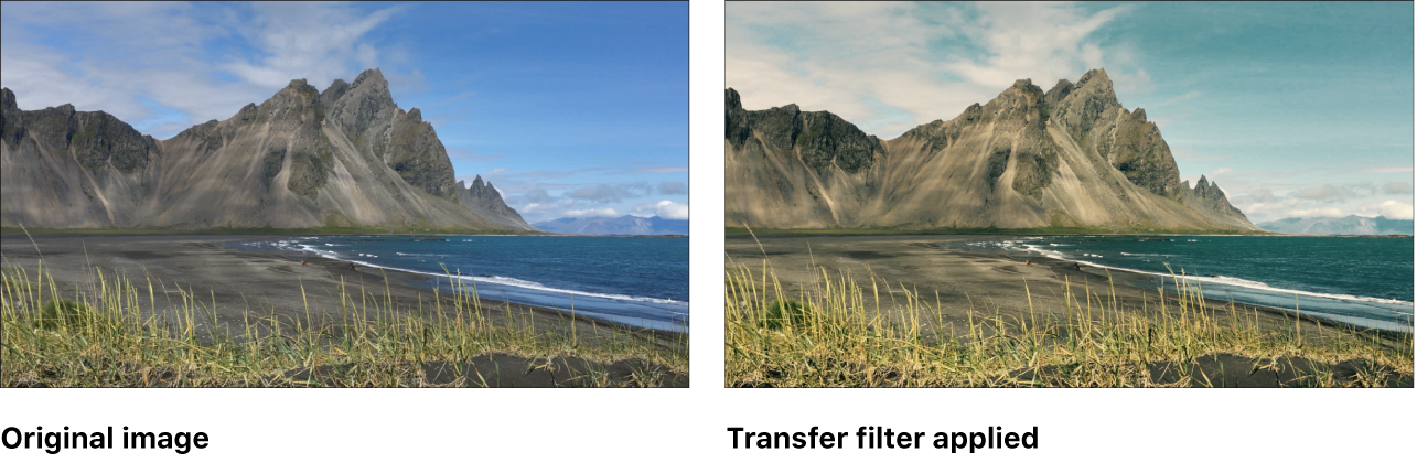 Canvas showing effect of Transfer filter