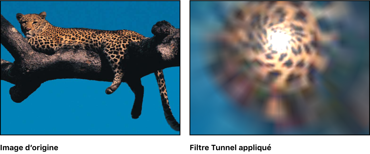 Canevas affichant l’effet du filtre Tunnel
