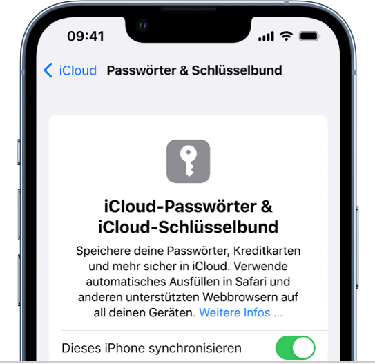 Der iCloud-Bildschirm „Passwörter & Schlüsselbund“ mit einer Einstellung zum Synchronisieren des aktuellen iPhone.