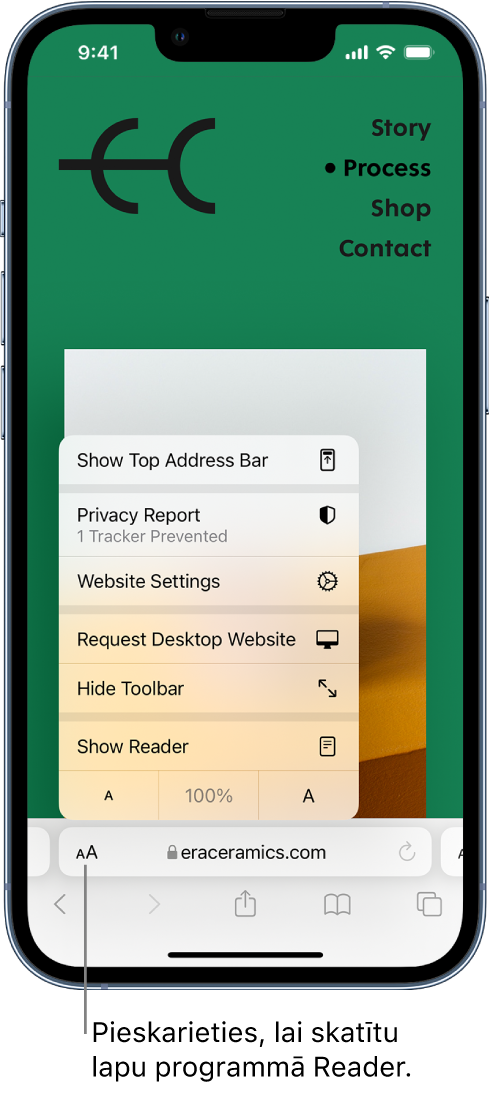 Izvēlne Page Settings. Izvēlnes apakšdaļā ir iespēja Show Reader.