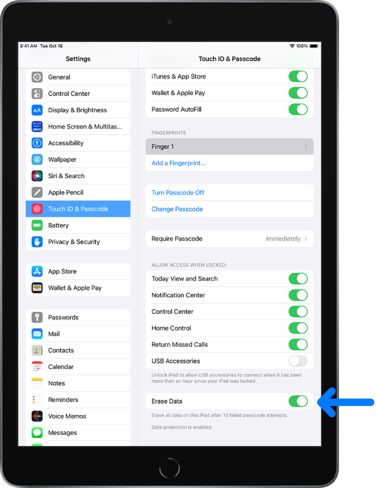 how to show apple id password on ipad