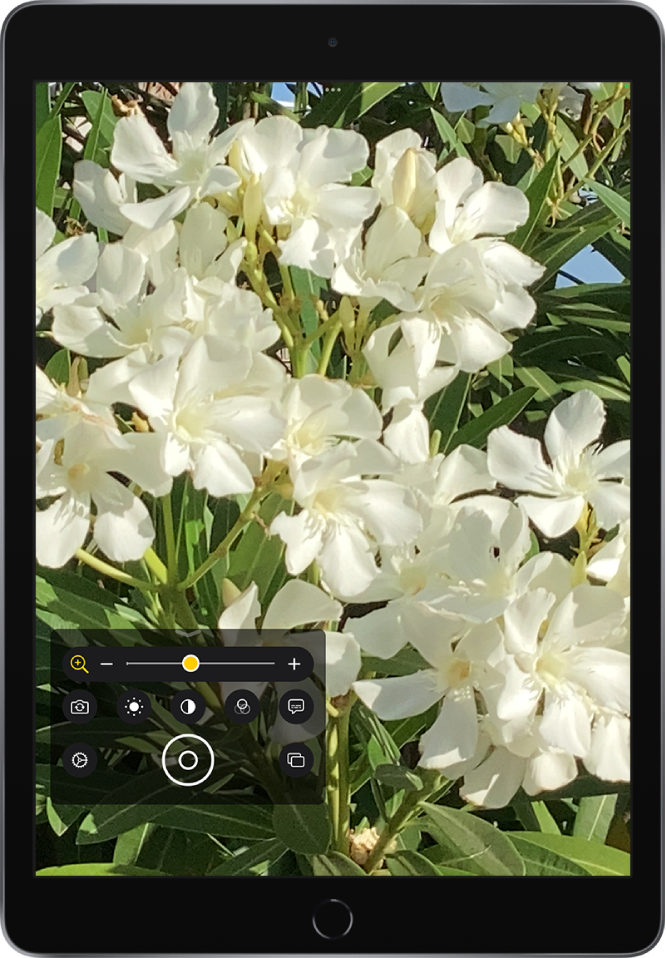 The Magnifier screen showing a close-up of flowers.