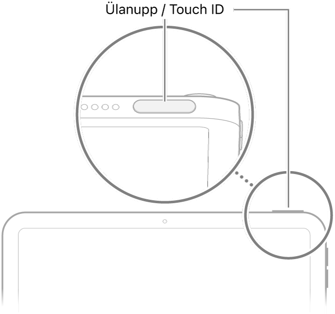 iPadi ülaosas olev ülanupp (Touch ID).
