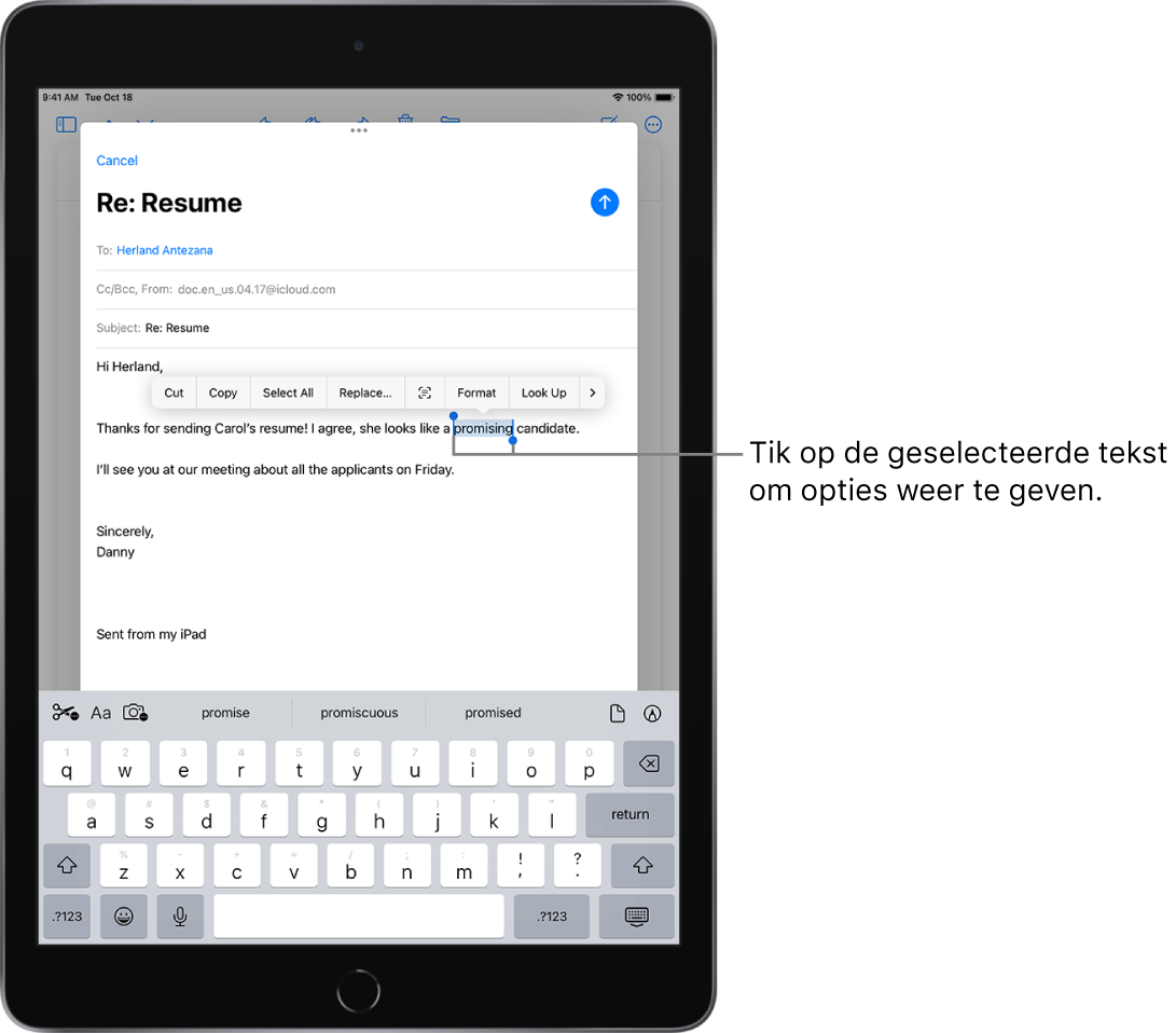 Tekst selecteren, knippen, kopiëren en plakken op de iPad Apple Support (NL)
