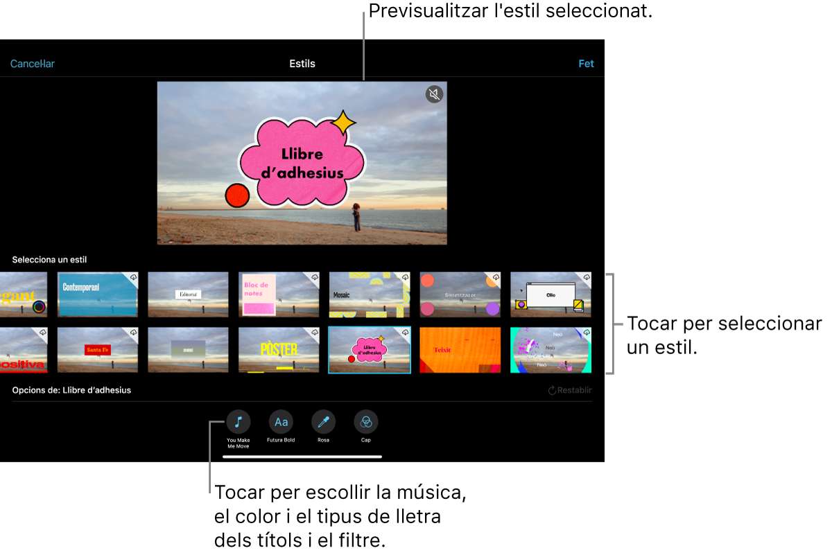 El visor mostra una previsualització de l’estil seleccionat i les opcions d’estil a sota. Els botons per afegir música, seleccionar el color i el tipus de lletra dels títols i aplicar un filtre a la part inferior de la pantalla.