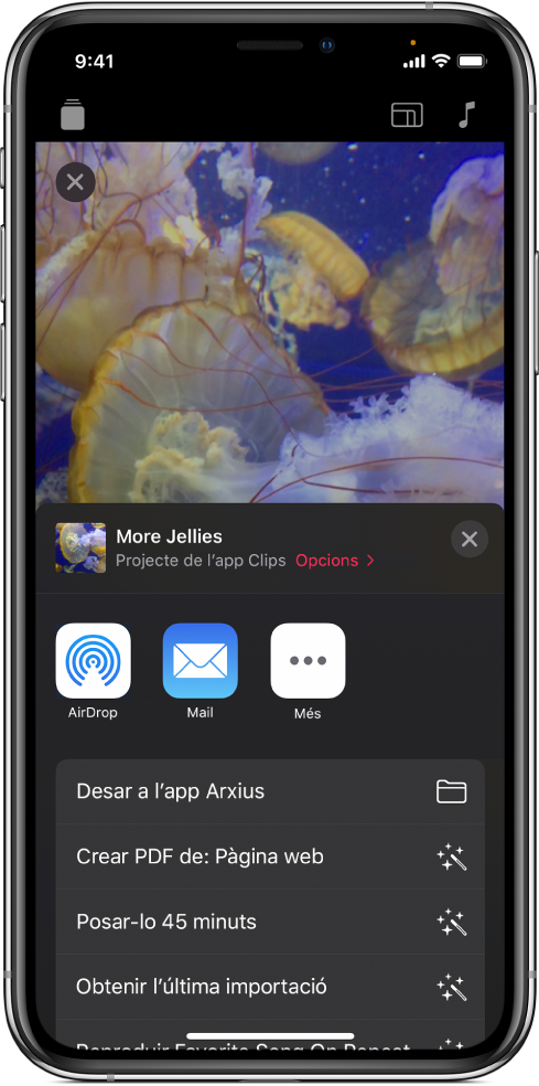 Opcions per compartir un vídeo, incloent‑hi l’AirDrop, el Mail i “Desar a l’app Arxius”.