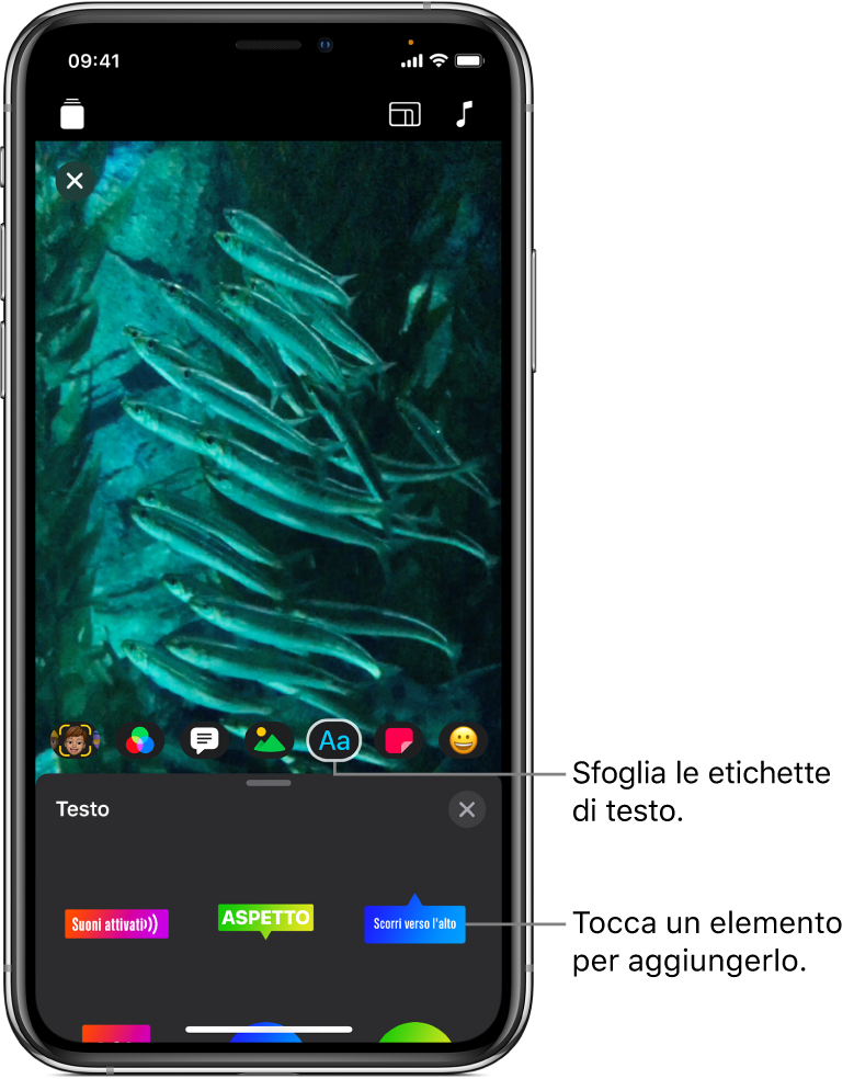 L’immagine di un video nel visualizzatore, con il pulsante Testo selezionato e le opzioni per le etichette di testo sotto.