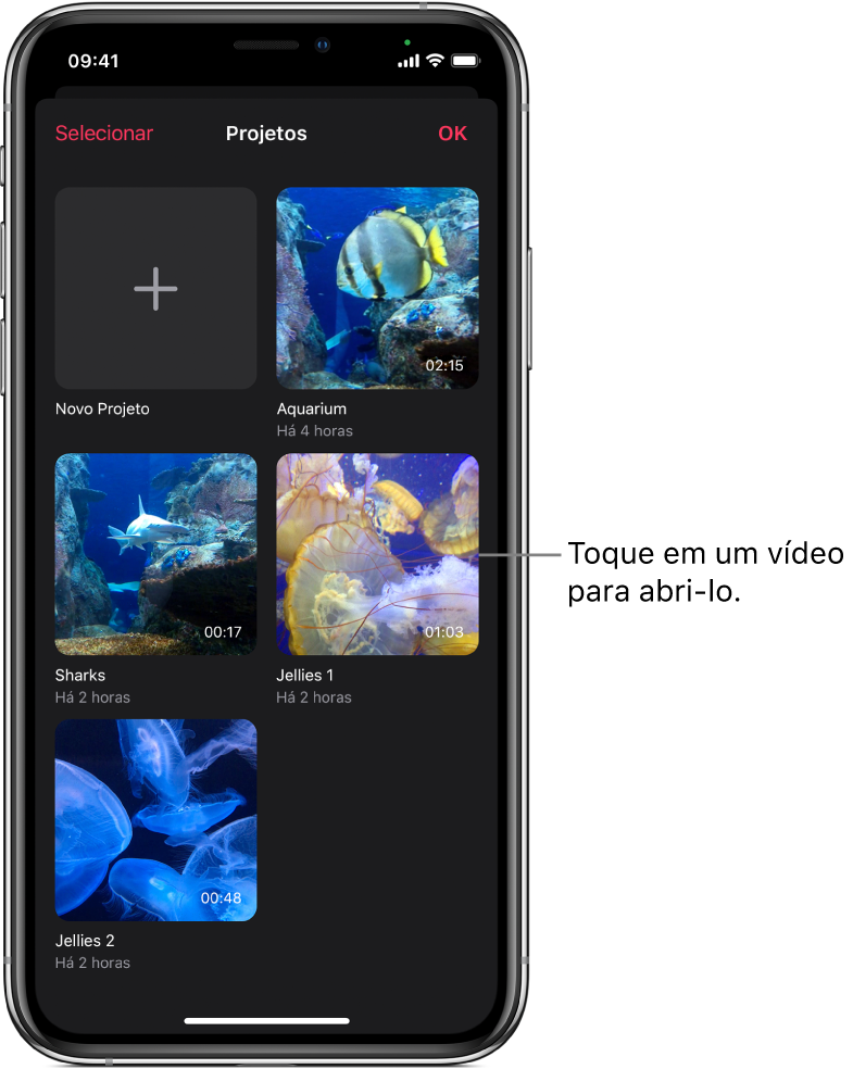 A tela Projetos mostrando o botão Novo Projeto e miniaturas dos vídeos existentes.