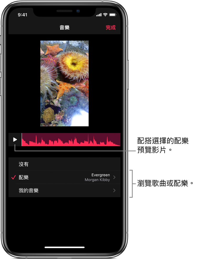 檢視器中影像的下方有「播放」按鈕及音訊波形，其為瀏覽配樂或音樂資料庫的選項。