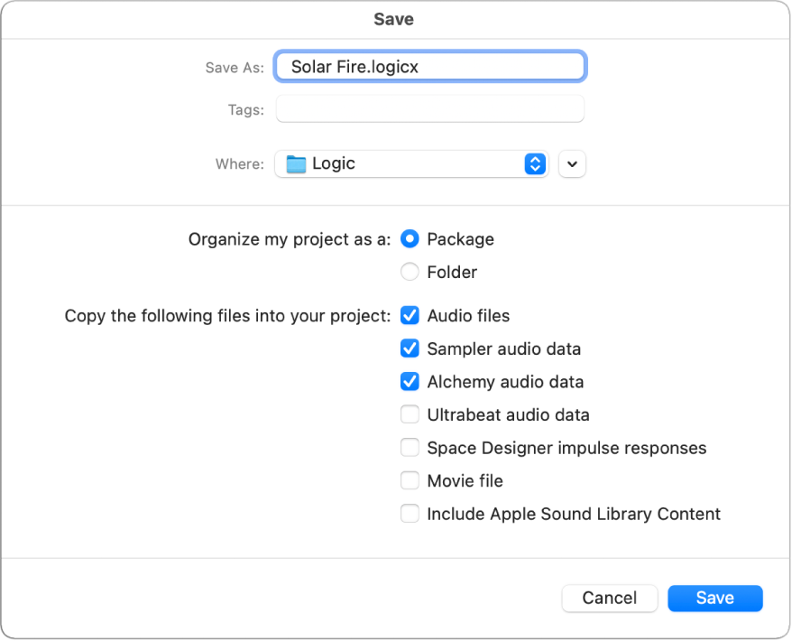 Figure. Checkboxes at the bottom of the Save As dialog, for selecting different assets to save in the project.