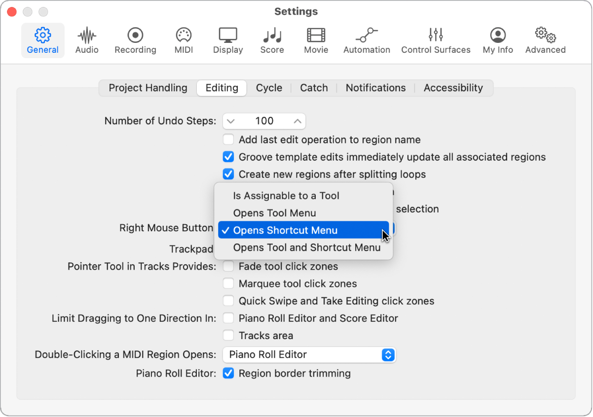 Figure. Right Mouse Button menu in the Editing pane in the General settings.